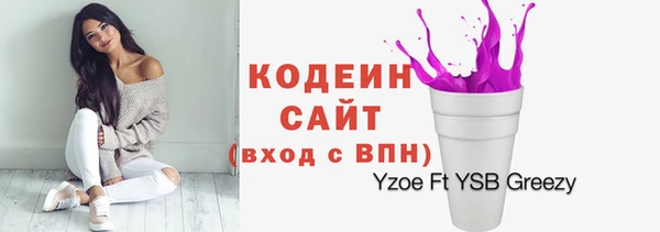 дживик Горнозаводск