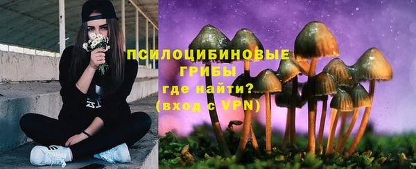 Альфа ПВП Вязьма