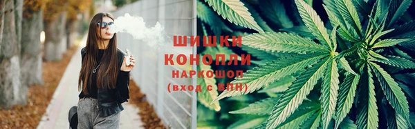 альфа пвп Горно-Алтайск
