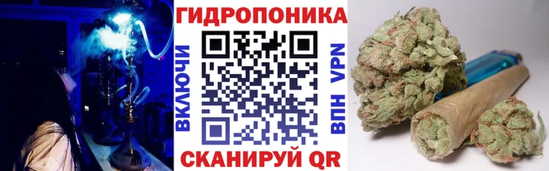 Шишки марихуана гибрид  Купить закладки  Кодинск 