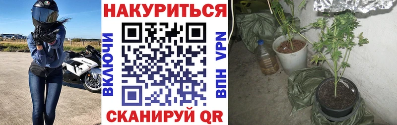 Бошки марихуана конопля Кодинск